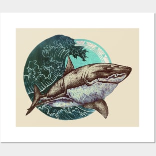 Shark bait Posters and Art